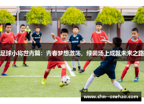 足球小将世青篇：青春梦想激荡，绿茵场上成就未来之路