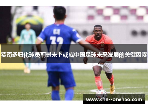 费南多归化球员前景未卜或成中国足球未来发展的关键因素