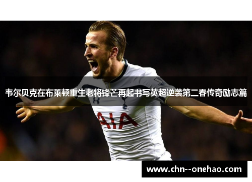 韦尔贝克在布莱顿重生老将锋芒再起书写英超逆袭第二春传奇励志篇